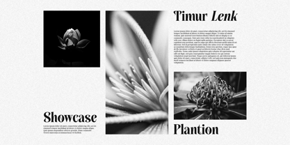Qorina Font Poster 3