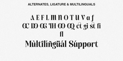 Qorina Font Poster 10
