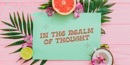 Seal Tribe Font Poster 6