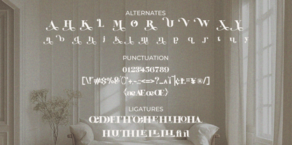 Visoria Font Poster 12