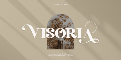 Visoria Font Poster 1
