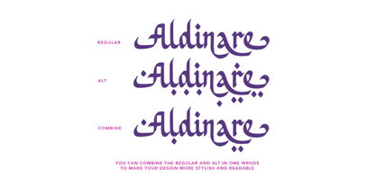 Aldinare Font Poster 11