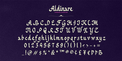 Aldinare Font Poster 10