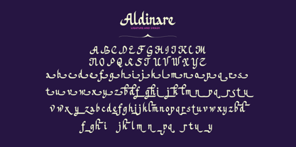 Aldinare Font Poster 9