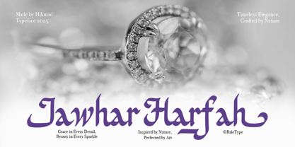 Aldinare Font Poster 6