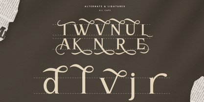 Wirangi Font Poster 12