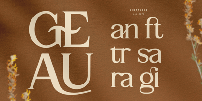 Wirangi Font Poster 11