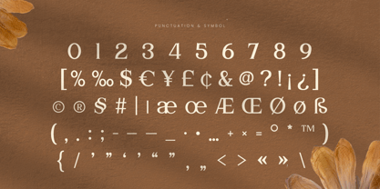 Wirangi Font Poster 9