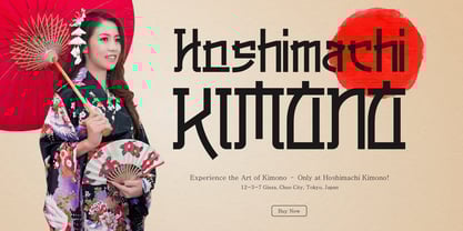 Nettore Font Poster 4