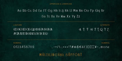 Chidokue Font Poster 8