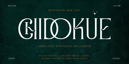Chidokue Font Poster 1
