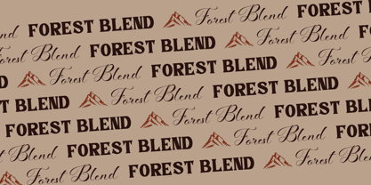Kobler Sienna Font Poster 3
