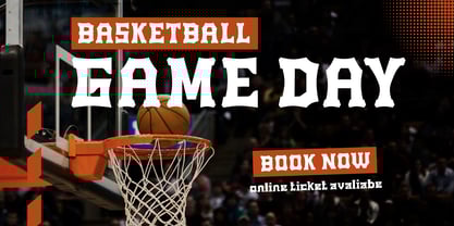 Vanole Font Poster 6