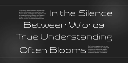 Akalime Blur Font Poster 4