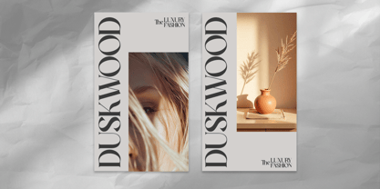 Neuvilete Font Poster 4