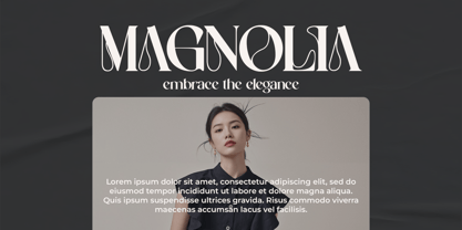 Neuvilete Font Poster 2