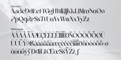 Neuvilete Font Poster 11