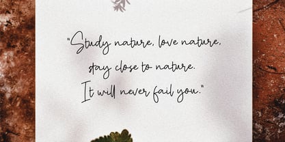 Maurichia Font Poster 7