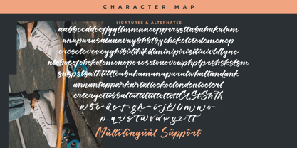 Humble Analog Font Poster 15