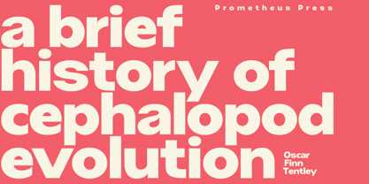 Grafik Poster Font Poster 5