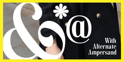 Montore Font Poster 8