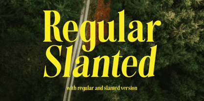Montore Font Poster 5