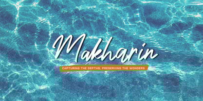 Brown Signature Font Poster 6