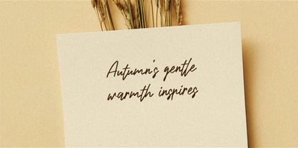 Brown Signature Font Poster 4