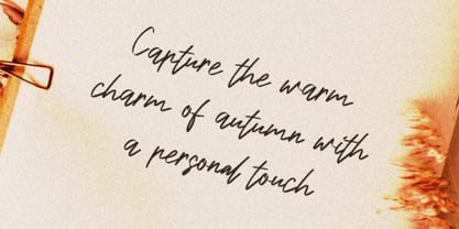 Brown Signature Font Poster 3