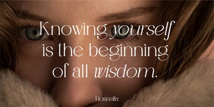 Rosvella Serif Family Font Poster 6