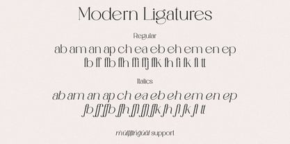 Rosvella Serif Family Font Poster 11