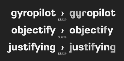 Greater Neue Condensed Font Poster 3