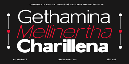 Elghita Font Poster 11