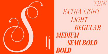 Dh Pegita Font Poster 4