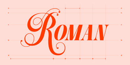 Dh Pegita Font Poster 5