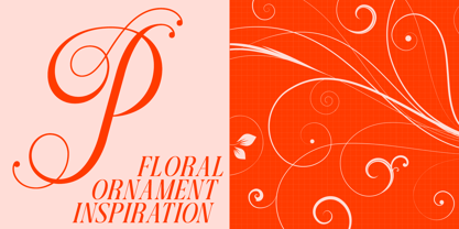 Dh Pegita Font Poster 3