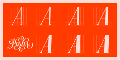 Dh Pegita Font Poster 9