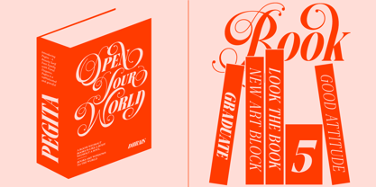 Dh Pegita Font Poster 13