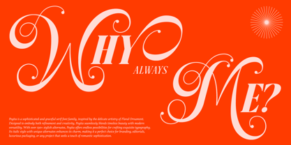 Dh Pegita Font Poster 14