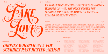 Dh Pegita Font Poster 11