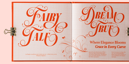 Dh Pegita Font Poster 15