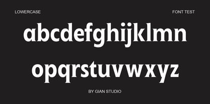Ginfitanle Font Poster 7