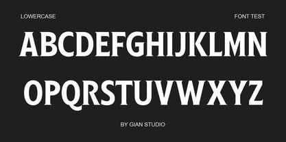 Ginfitanle Font Poster 6