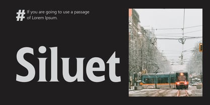 Ginfitanle Font Poster 4