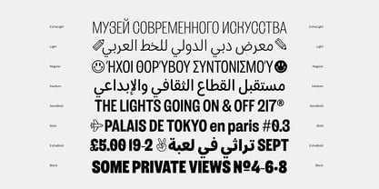 Salford Sans Arabic Font Poster 2