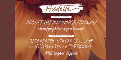 Hisdella Font Poster 6