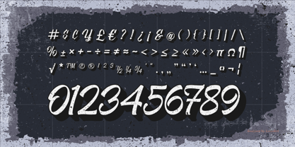 Violla Font Poster 11