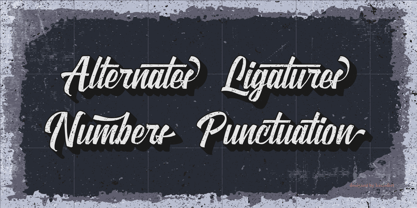 Violla Font Poster 3