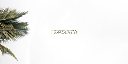 Belarak Font Poster 4