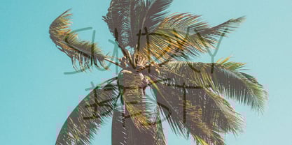 Belarak Font Poster 2